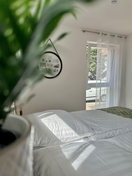 Amao-Pearl I Comfort Suite I 94Qm I Kingsize-Bett I Exklusiv Mit Balkon & Tiefgarage I Aufzug Offenburg Dış mekan fotoğraf